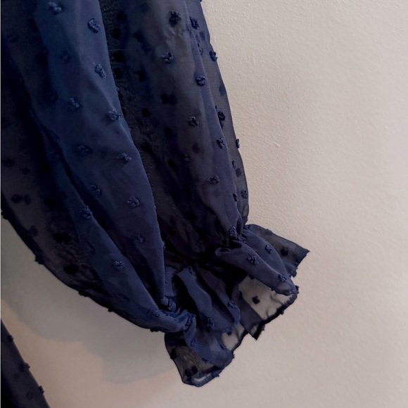 Belle Poque Elegant Retro Swiss Dot Dress Size 2X NWT - Picture 3 of 9